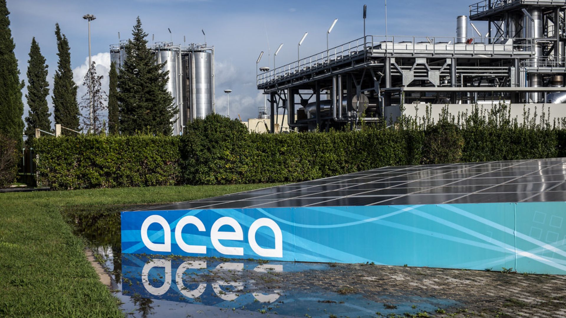 ACEA 700x1050 ACEA 700x1050