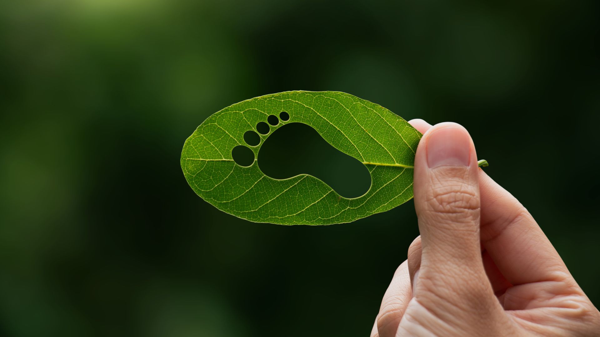 Climate Action